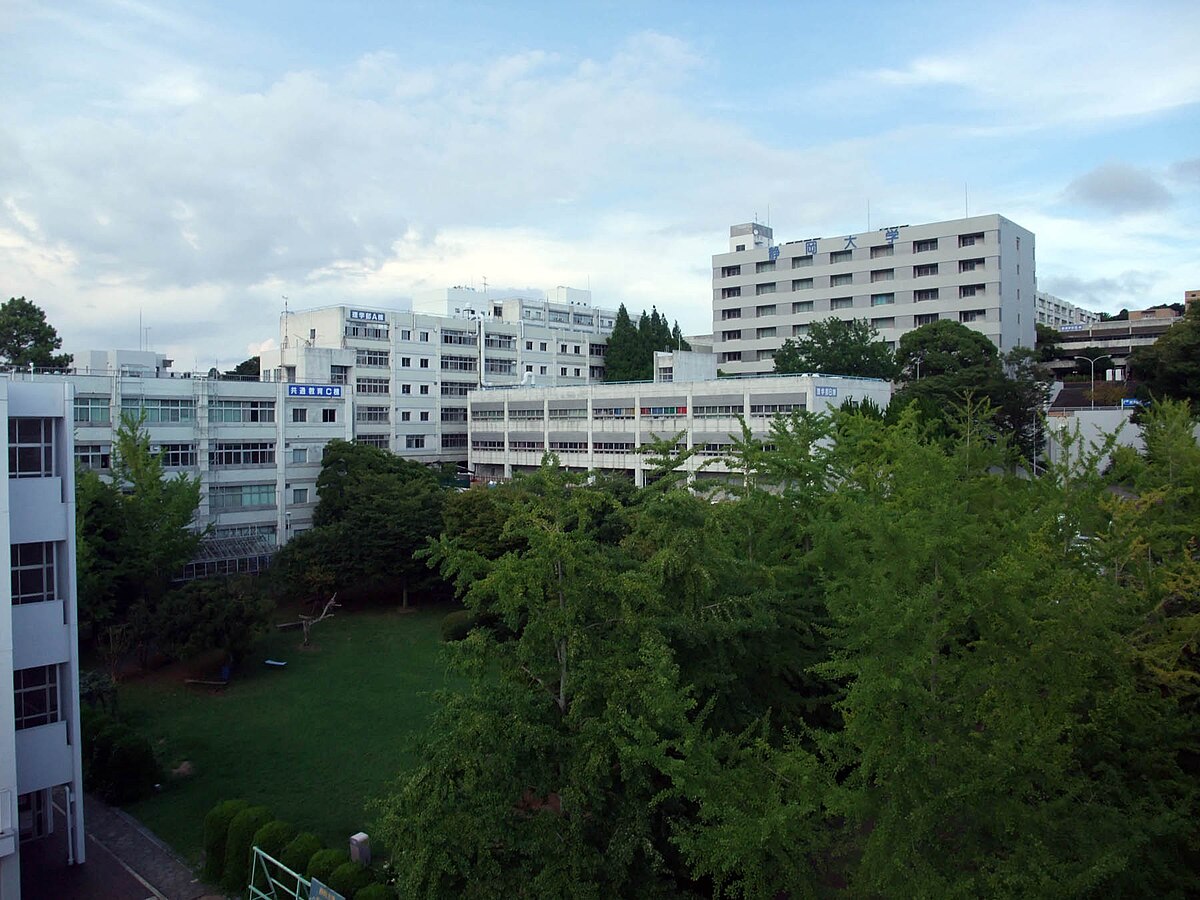 Shizuoka University