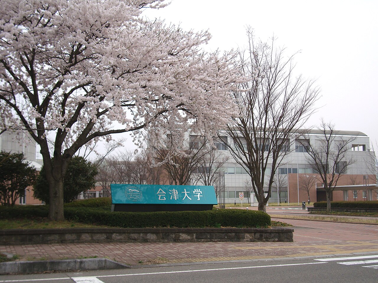 The University of Aizu